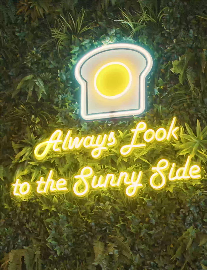 led neon sign on artificial plant wall saying always look on the sunny side